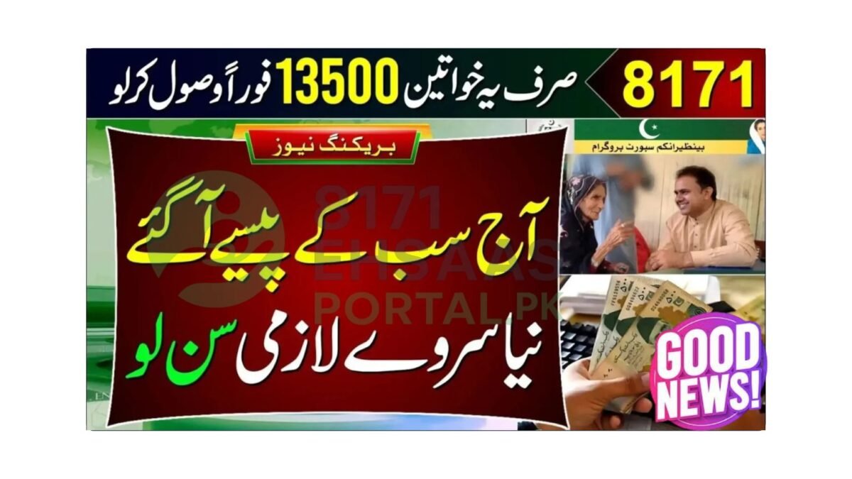 check-your-bisp-8171-cnic-and-payment-status-online-2025