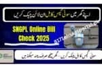 Sui Gas Bill Online Check using the official app and portal