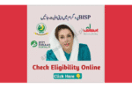 Online CNIC and registration check on Ehsaas portal.