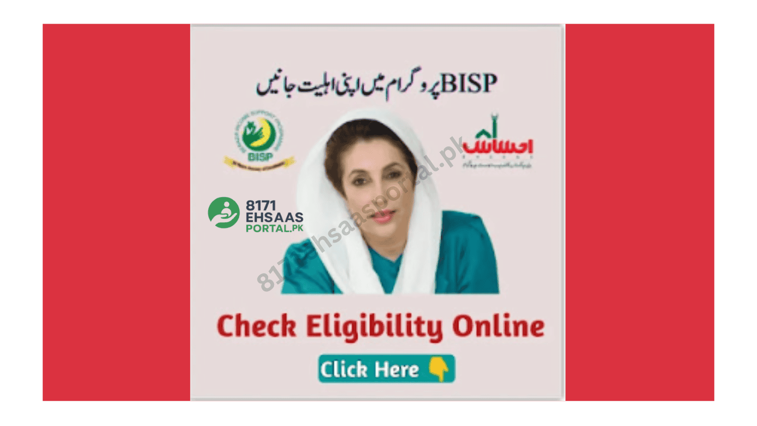 Online CNIC and registration check on Ehsaas portal.