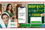 BISP-8171-Payment-Update-2026