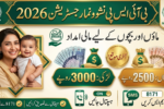 how-mothers-get-bisp-nashonuma-financial-aid