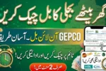 check-the-gepco-online-bill