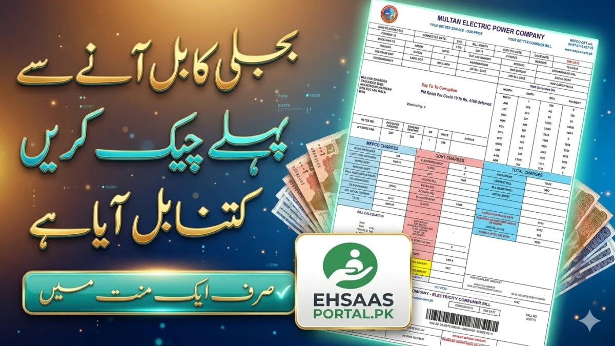 mepco-online-bill-check