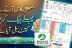 mepco-online-bill-check